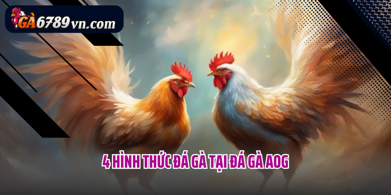 4 hình thức đá gà tại đá gà AOG