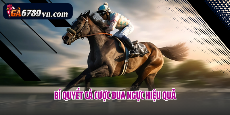 Bí quyết cá cược đua ngực hiệu quả