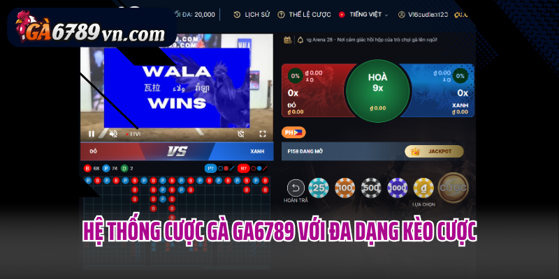 Hệ thống cược gà Ga6789 với đa dạng kèo cược
