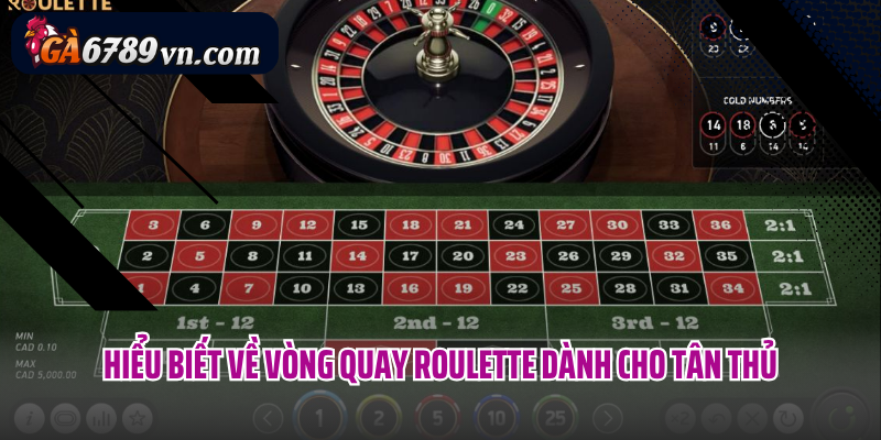 Hiểu biết về vòng quay Roulette dành cho tân thủ