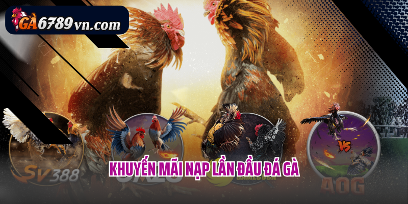 Khuyến mãi nạp lần đầu đá gà
