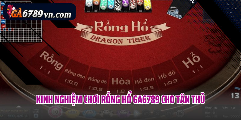 Kinh nghiệm chơi Rồng Hổ GA6789 cho tân thủ