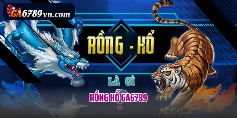 Rồng Hổ GA6789