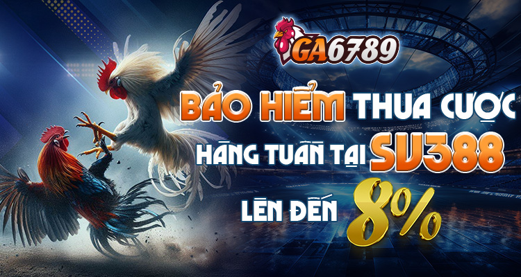 bảo hiểm cược thua sv388